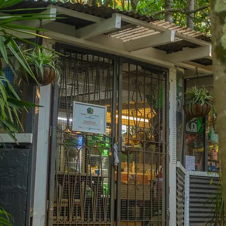 Arts Factory By Nomads (Adults Only) Hostel Byron Bay Exterior photo